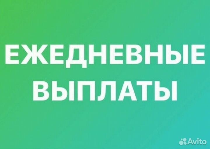 Подработка на пол дня ежедневная оплата