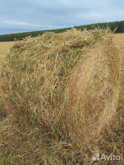 Солома в рулонах