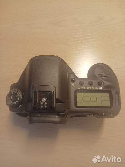 Canon EOS 10D и Canon EOS kiss Digital N