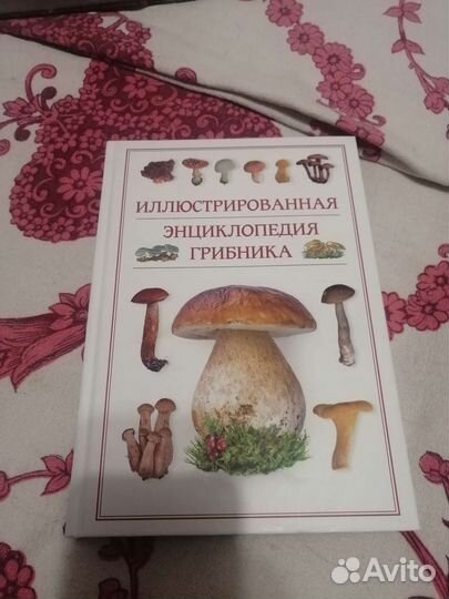 Энциклопедия грибника