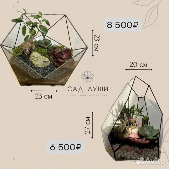 Мастер-класс по флорариуму (мини-садику)