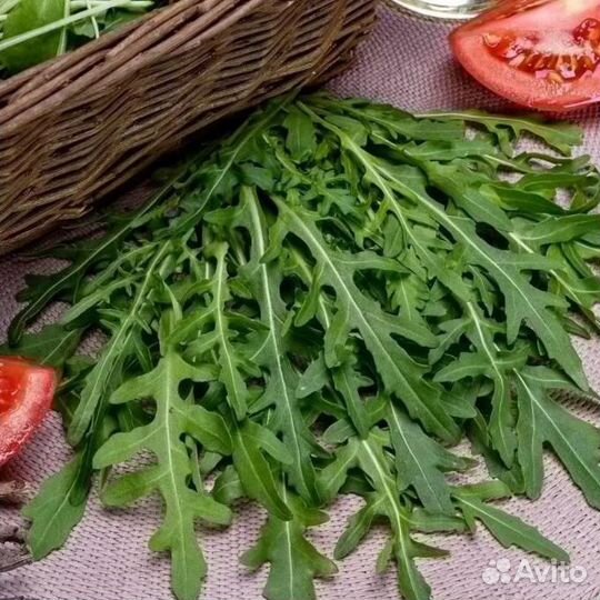 Семена элитные Рукколы (Индау) дикая узколистная