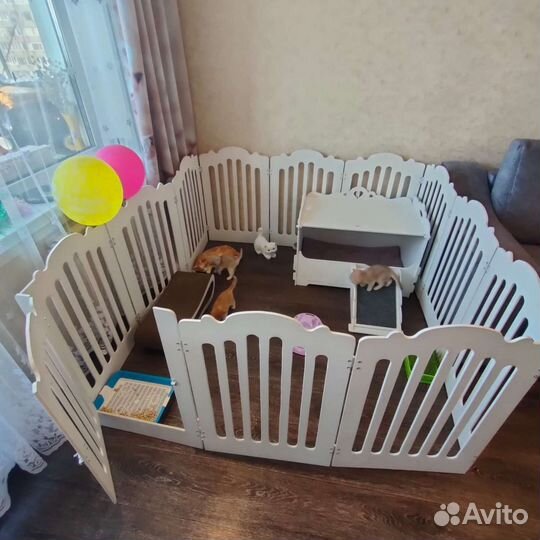 Вольер для питомцев