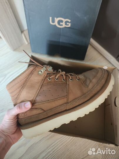 Ботинки мужские Ugg