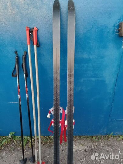 Лыжи беговые