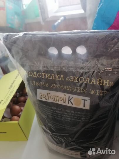 Джунгарский хомяк с клеткой