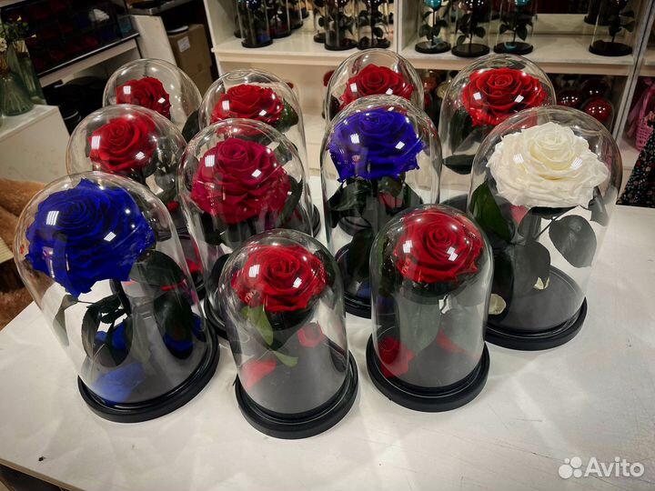Розы в колбе
