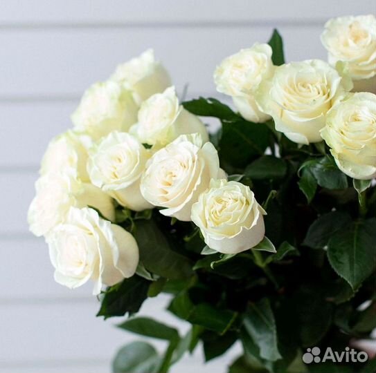 Цветы розы букеты Доставка