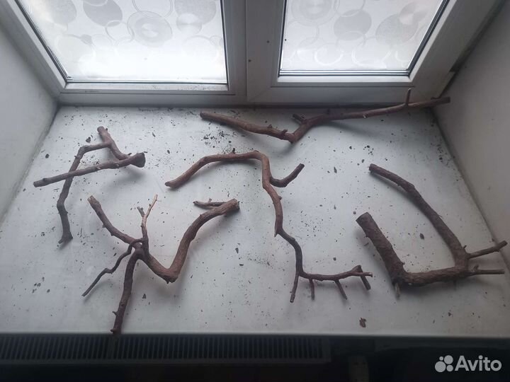 Коряги для террариума