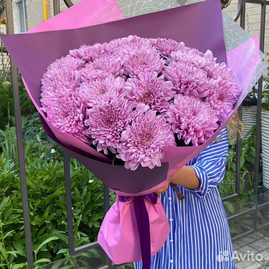 Хризантема одноголовая Иркутск