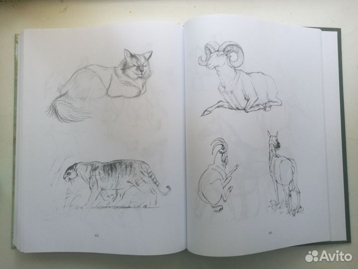 Основы учебного академического рисунка. Н.Ли