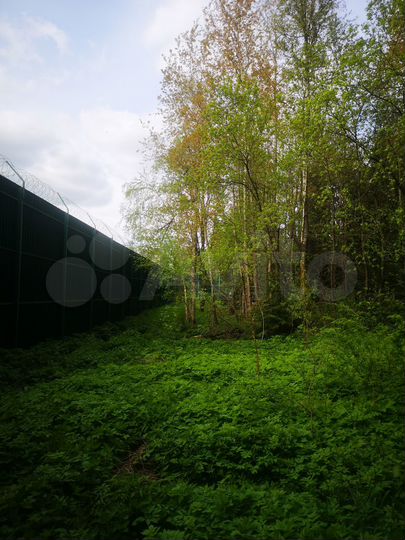 Участок 25 сот. (ИЖС)