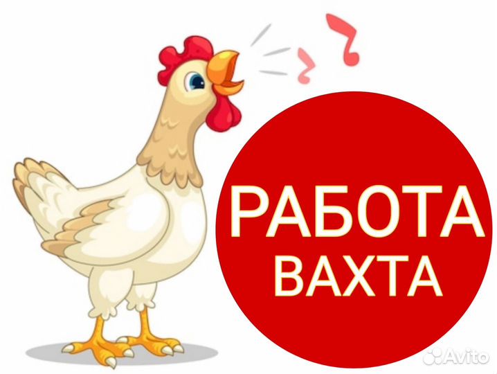 Упаковщик/Фасовщик (вахта Невинномысск)
