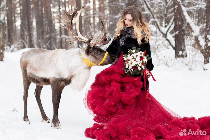 Новогодняя фотосессия