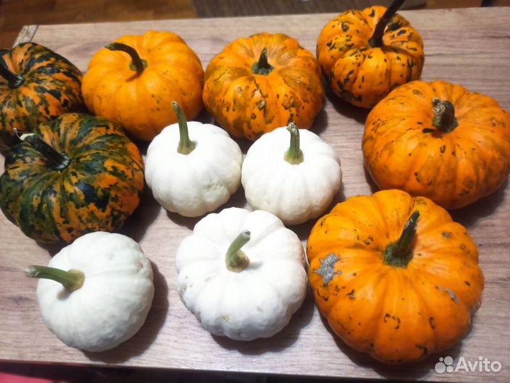 Тыква декоративная