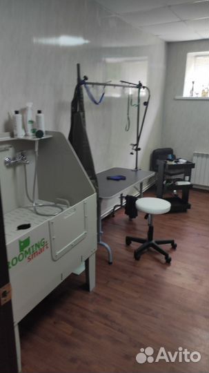 Аренда груминг места