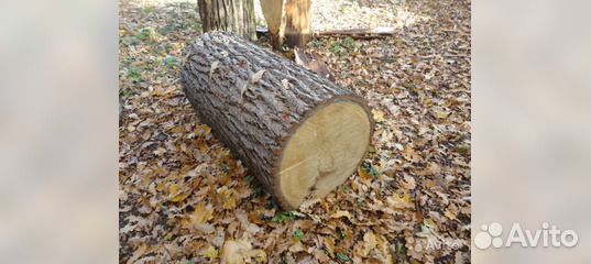 Самодельная колода из цельного дуба