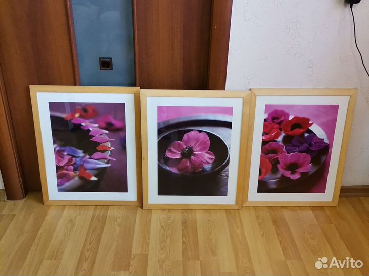 Постеры 8 шт в дерев.раме, стекло