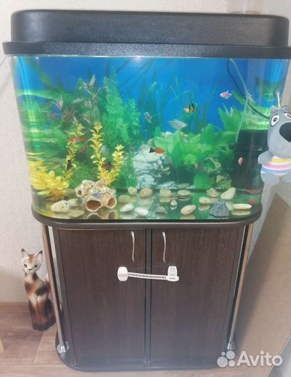 Аквариум 150л