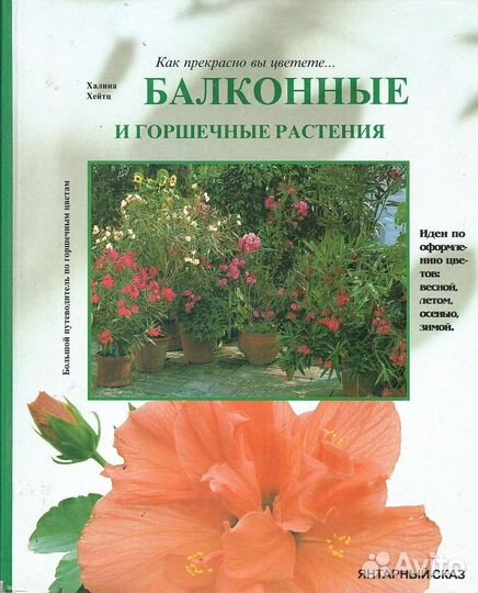 Балконные и горшечные растения