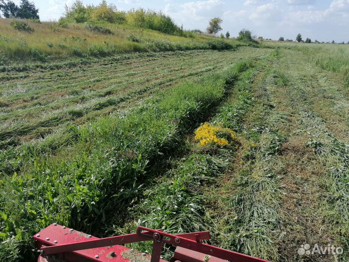 Продам отличное сено в тюках