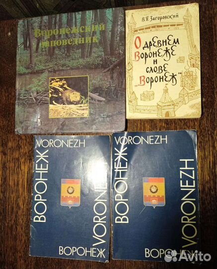 Книги брошюры путеводители по Воронежу