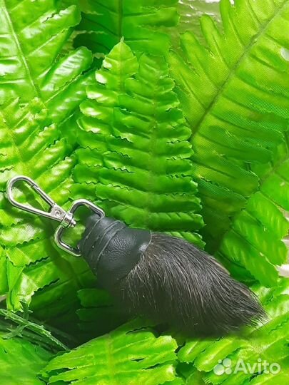 Оберег лапа барсука