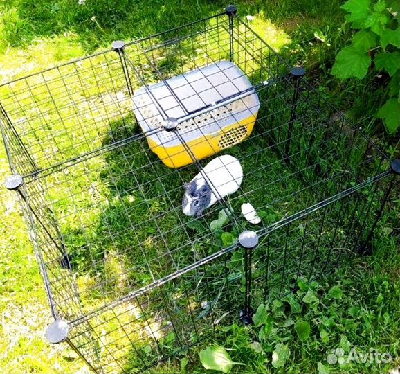 Манеж для животных