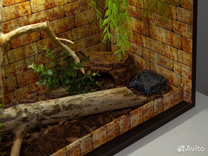 Террариум для эублефара/агамы новый