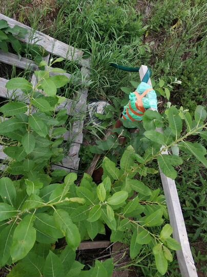 Дом 172 м² на участке 11 сот.