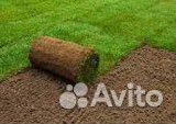 Рулонный газон