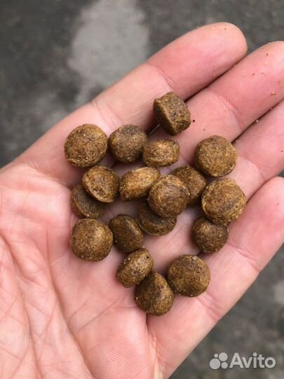 Корм для собак Jackson