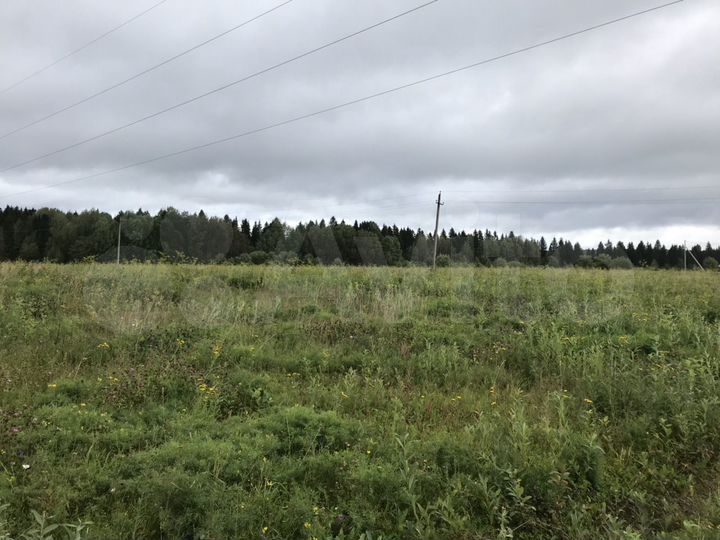 Участок 50 сот. (СНТ, ДНП)