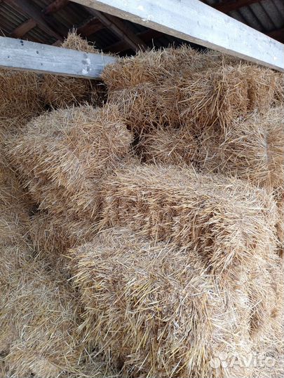 Сено в тюках и солома