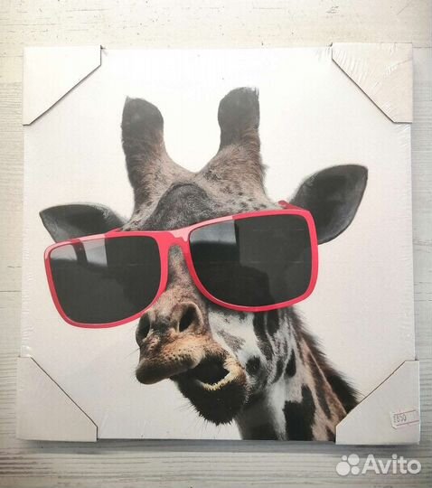 Картина Подарок Праздник Очки