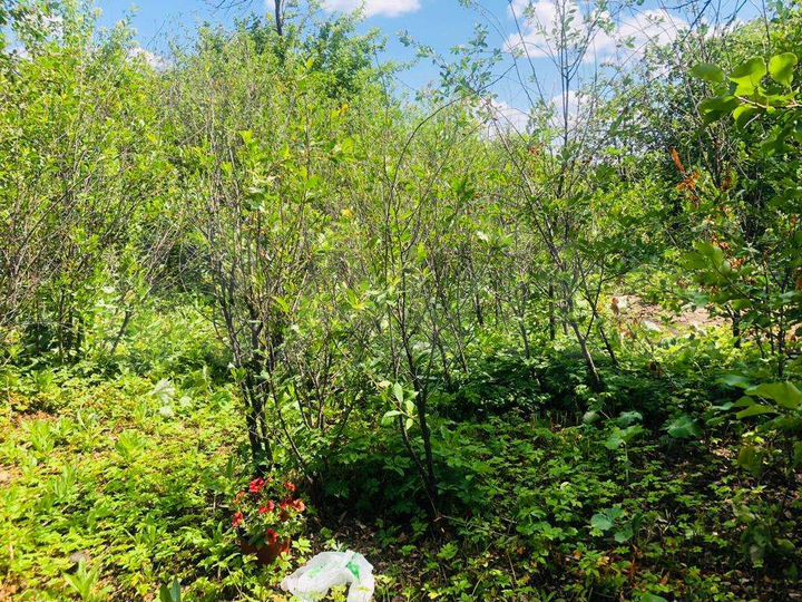 Дом 10 м² на участке 6,5 сот.