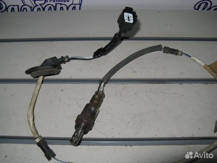 Датчик кислородный нижний Honda Accord 7 CL7 CL9