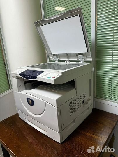 Мфу лазерное Xerox WorkCentre 5020/DN, ч/б, A3