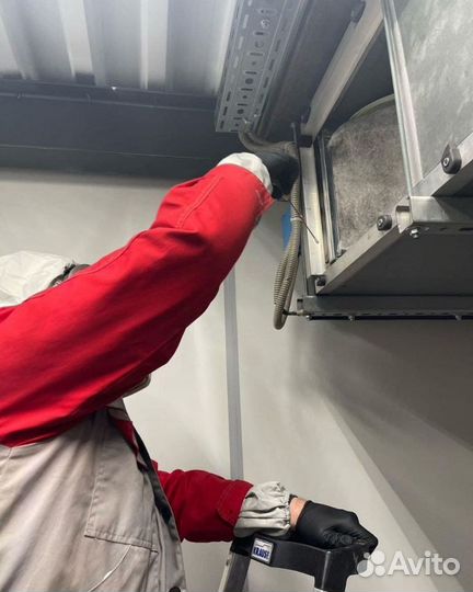 Уничтожение клопов тараканов насекомых Дезинсекция