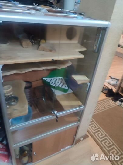 Витрина/клетка для шиншилл и грызунов бу