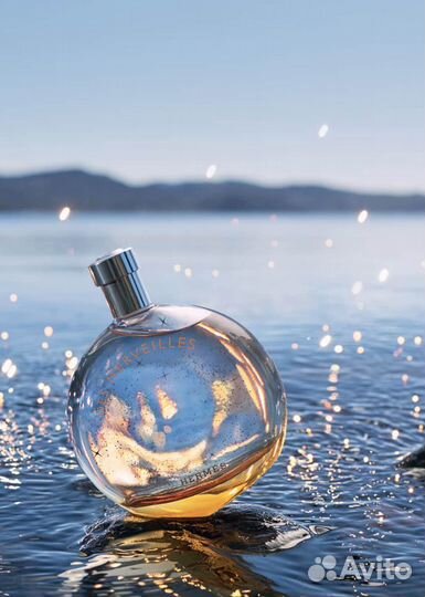 Hermes Eau Des Merveilles