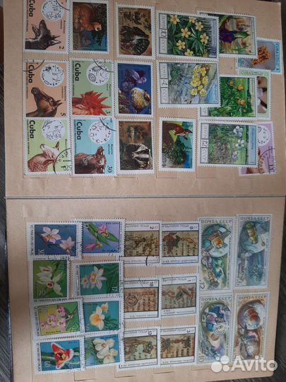 Коллекция марок СССР