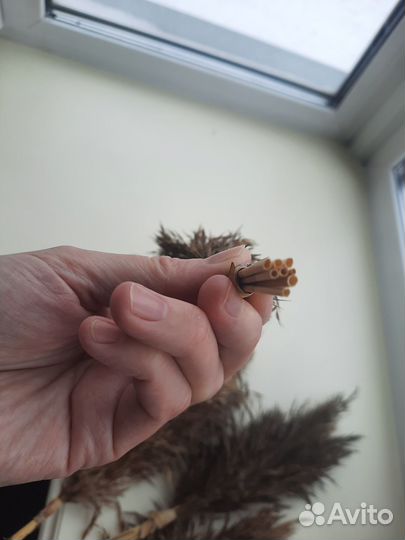 Сухоцветы, венки камыши прекати-поле