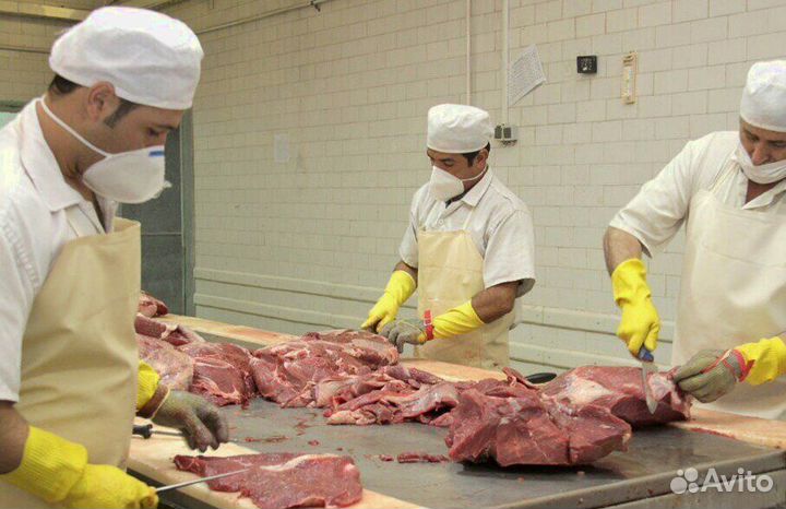 Разнорабочий/вахта жилье предоставляется