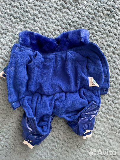 Костюм для маленькой собаки