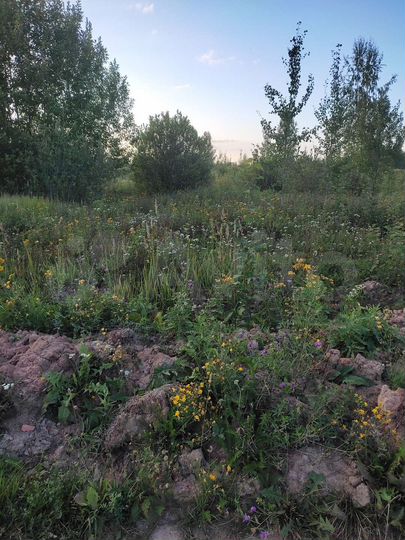 Участок 12 сот. (ИЖС)