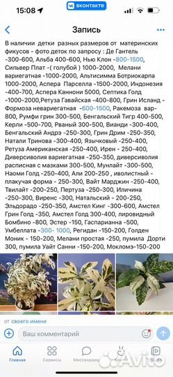Редкие фикусы