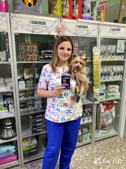 Ветеринарный врач на дом