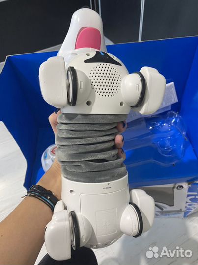 Собака робот