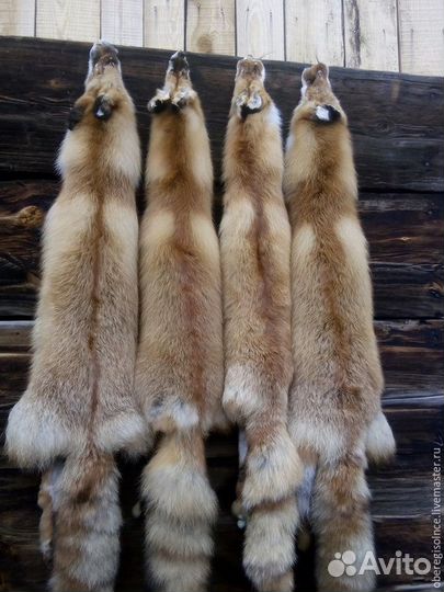 Выделка шкур диких и домашних животных